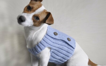 Hundepullover stricken