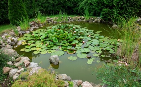 Gartenteich anlegen