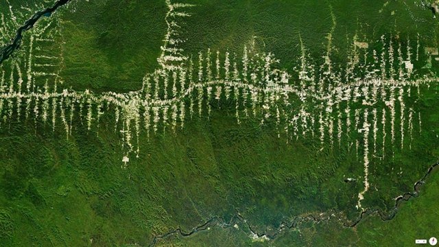 Abholzung Regenwald Para Brasilien satellit bilder