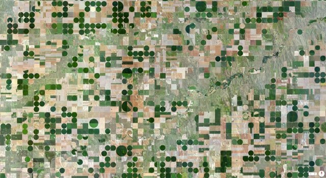 Edson Kansas USA kreise landwirtschaft satellit