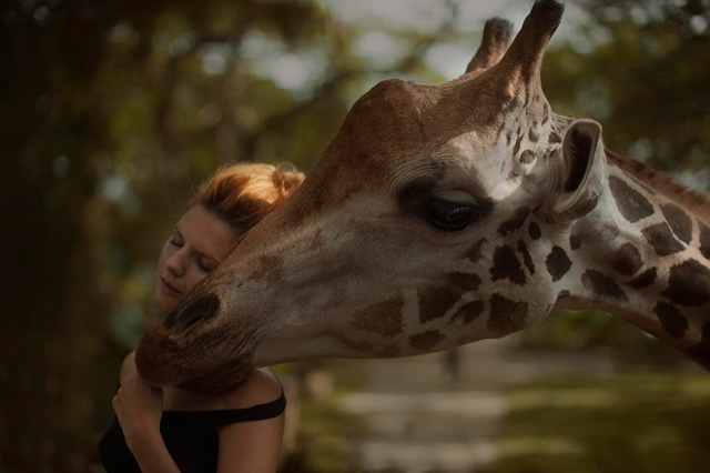 Giraffe-und-Frau-im-Park