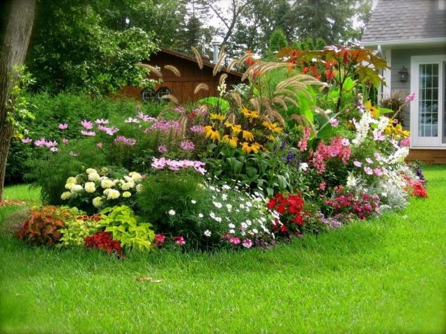 Inselbeet-Blumenbeet-üppig-blühend-besonderer-Blickfang-Vorgarten