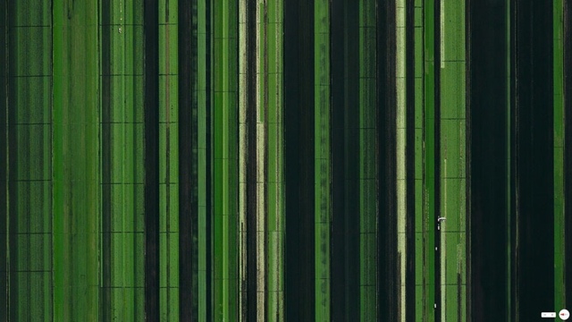 Landwirtschaftliche Entwicklung Loxahatchee Florida USA grün satellit