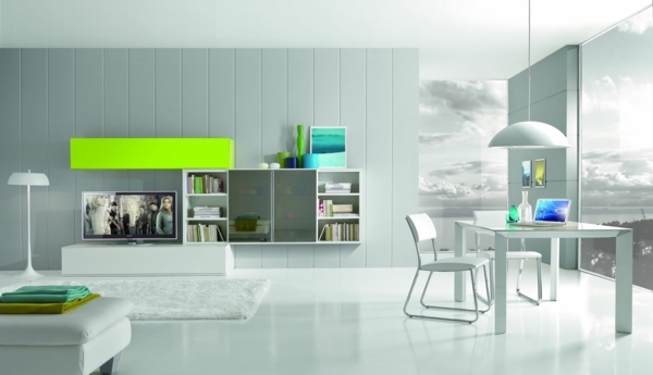 Seeblick-Signalgrüne-Farben-Regale-an-der-Wand-eingebaut-Wand-bedeckt-mit-Elementen
