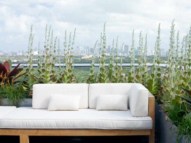 Dachterrasse schöner Blick Tagesbett Gartensofa