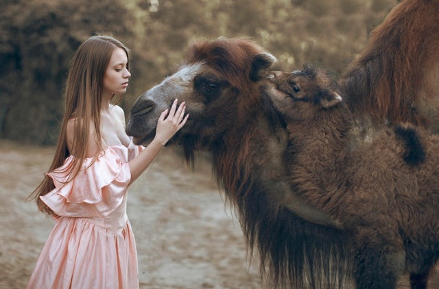 Tierfotographie-mit-Mädchen-und-Baby-Kamel