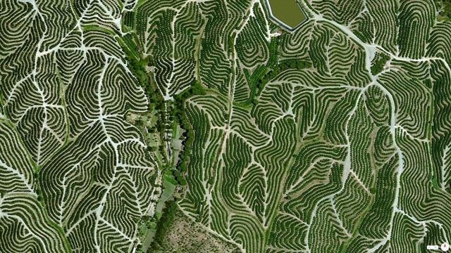Weinbaugebiete Huelva spanien satelliten fotos interessant
