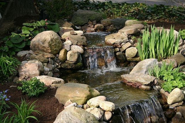 Wohlfühl-Oase-Garten-wasserliebende-Pflanzen-große-Steine-Wasser