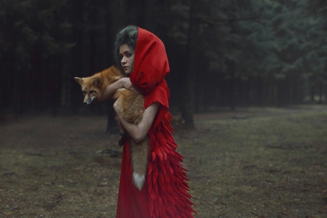 der-Fuchs-mit-dem-Mädchen-im-Wald-Rotkäppchen