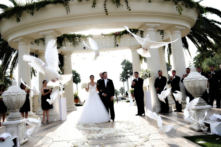 hochzeit in weiß braut braeutigam tauben blueten exotik