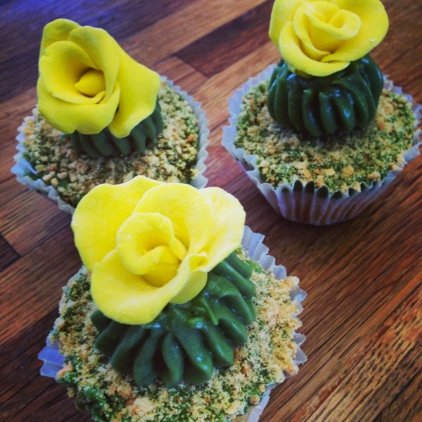 kaktus-blühten-gelb-cupcakes-muffins-idee