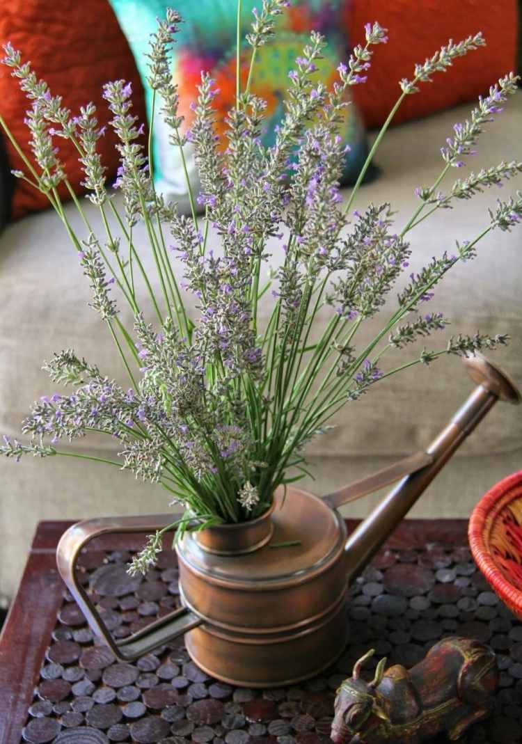 Lavendel Deko -giesskanne-metall-klein-vase-schoen-wohnzimmer