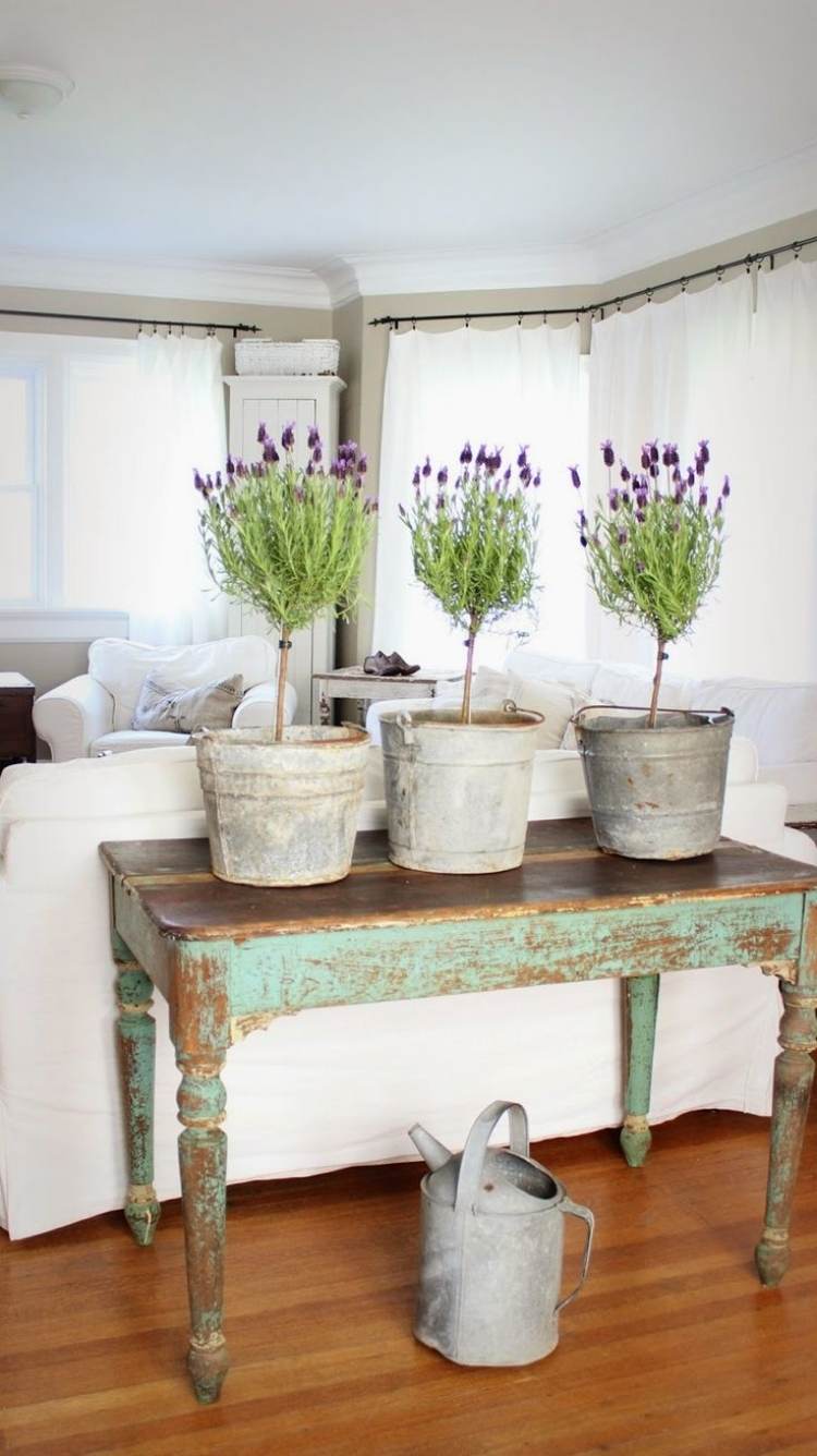 Lavendel Deko -pflanzenkuebel-pflanzen-zuhause-gieskanne-sideboard-wohnzimmer-rustikal