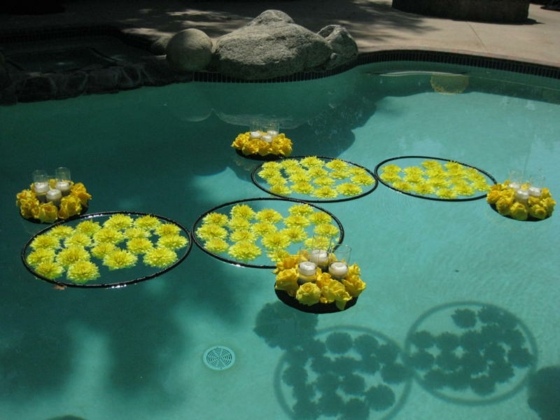 schwimmende-gelbe-Blumen-in-Swimming-Pool