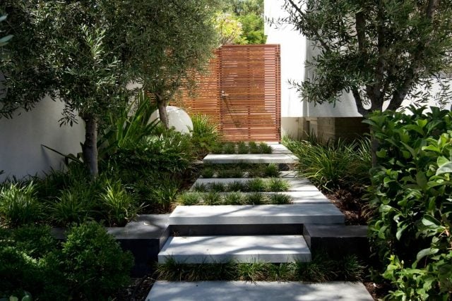 vorgarten-eingang-stufen-betonplatten-unterschiedliche-ebenen-pflanzen