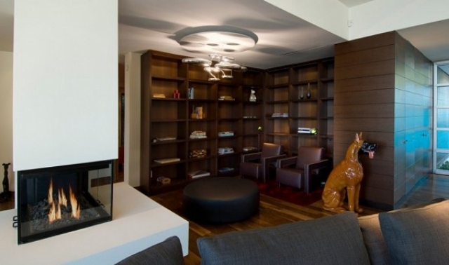 wohnzimmer-Regalsystem-Bücherregale-dunkles-holz-indoor-kamin-schutzglasscheibe