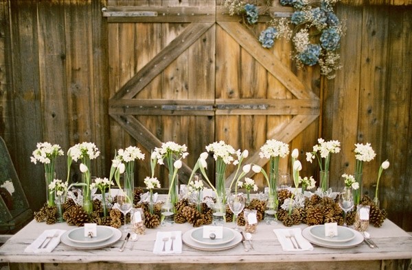 Dekoration-Herbsttisch-weiße-Blüten-Zapfen-rustikaler-Tisch-Garten-Ideen