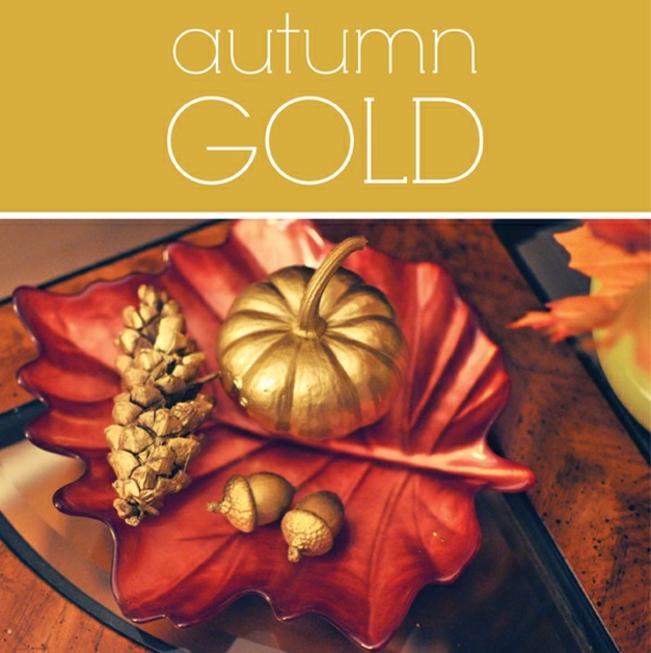 Herbst-in-Gold-mit-Nüssen-und-Kürbissen