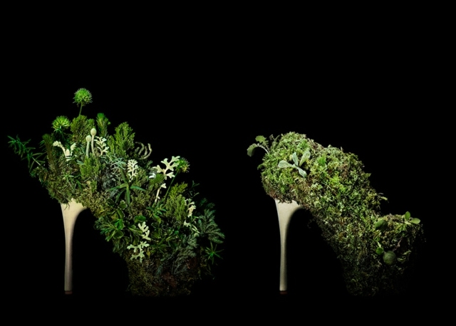 Inspiration-Natur-grüne-Pflanzenwelt-Schuhe