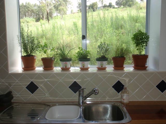 Kräuter-und-Gemüse-am-Fensterbak-Waschbecken-Küche