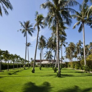 Palmen-Haus-Villa-am-Ozean