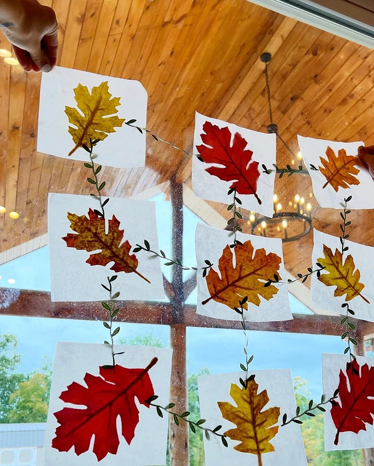 Blätter auf Pergament kleben und an die Fenster hängen
