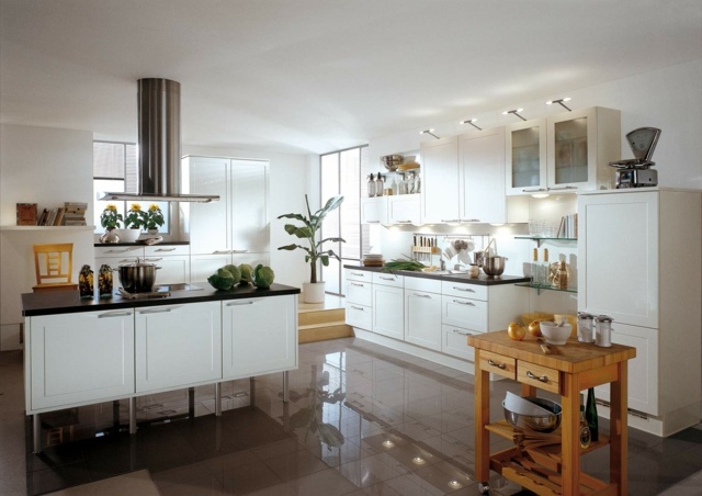 Küche Zimmerpflanzen Ideen weiße Fronten