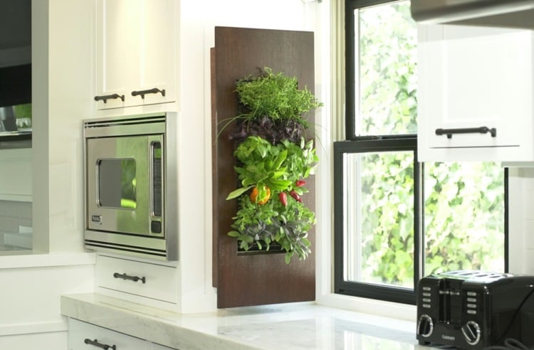 pflanzen in der küche wand-deko-gemuese-modern