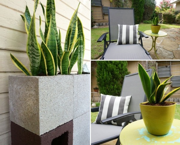 sommerliche-lounge-outdoor-begrünt-ideen-dekoration-musterkissen-pflanzen