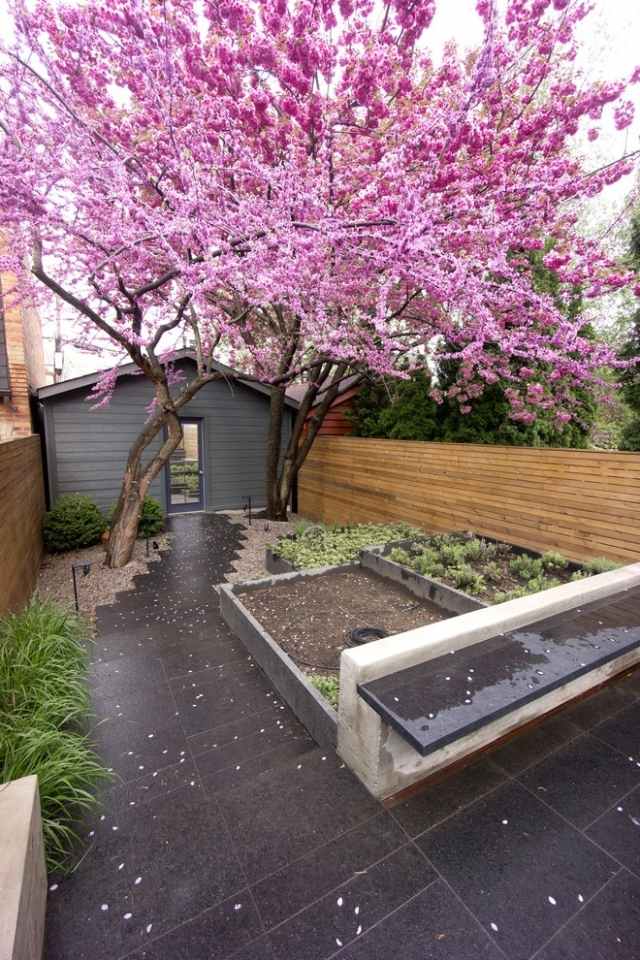 vorgarten gestalten ideen-herrlich-rosa-japanische-bluetenkirsche