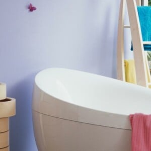 Badezimmer Wandfarbe Holzwand Badewanne