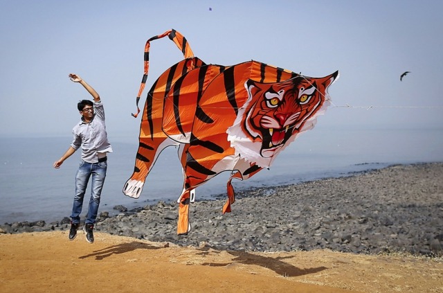 Drachen Tiger Indien coole Idee