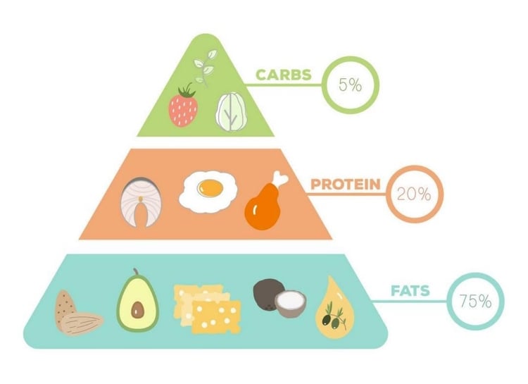 Ketogene Diät Fett Eiweiß Kohlenhydrate Pyramide