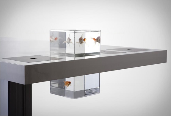 Möglichkeit-ein-Aquarium-mit-Fischen-als-Teil-des-Schreibtisches