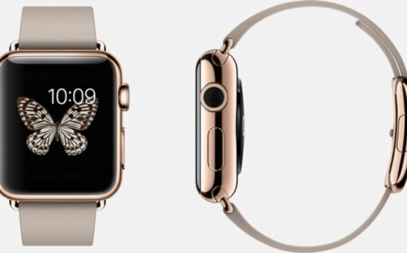 apple iwatch edition rosa leder schmetterling