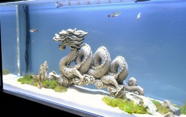  Stil Aquarium Dekoration selber machen Drachen