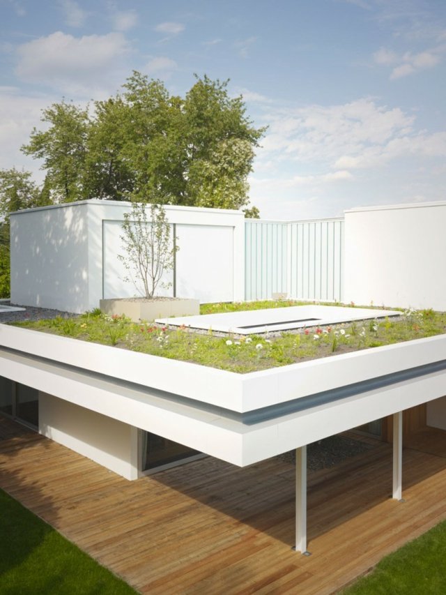 eigener-Garten-auf-dem-Dach