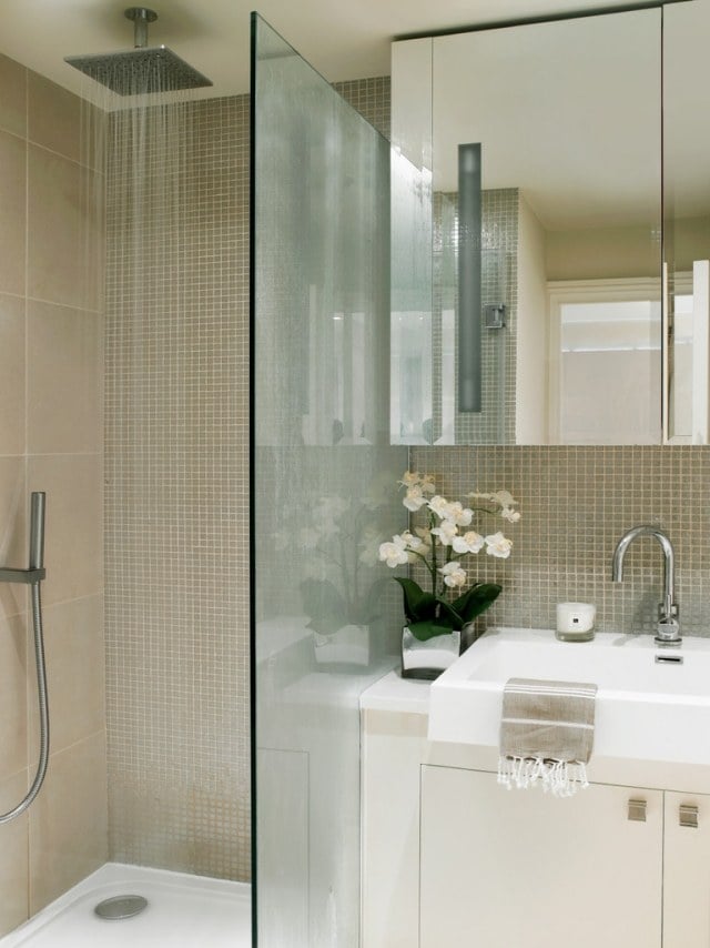 ideen-kleine-bader-begehbare-dusche-glaswand-abtrennung-regendusche
