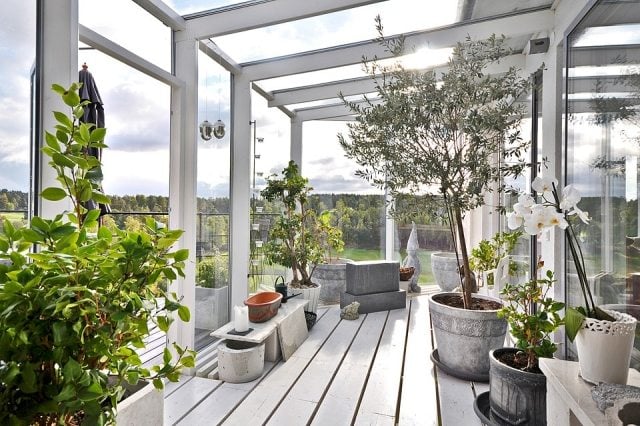 wintergarten-gestaltung ideen-pflanzen-olivenbaum-orchideen-skandinavischer-stil
