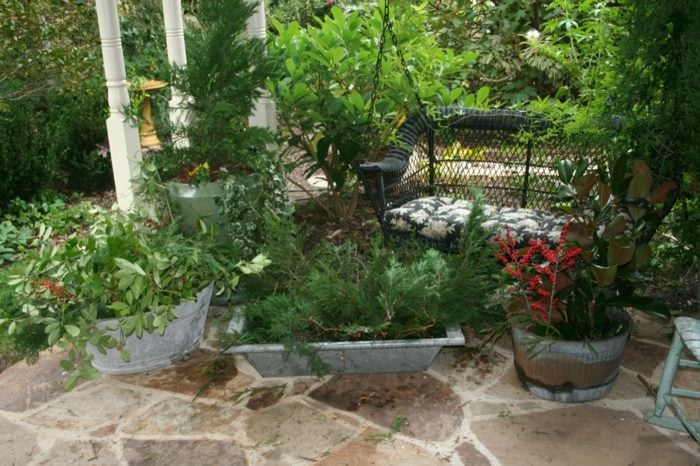 Interior-Garten-Design-Pflanzen