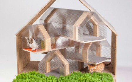Katzenhaus-mit-Rasen-und-Zimmer-Abteilungen