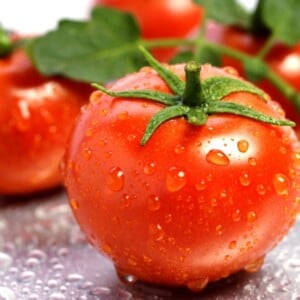 Tomaten pflanzen rot frisches gemüse anbauen