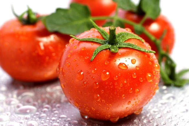Tomaten pflanzen rot frisches gemüse anbauen