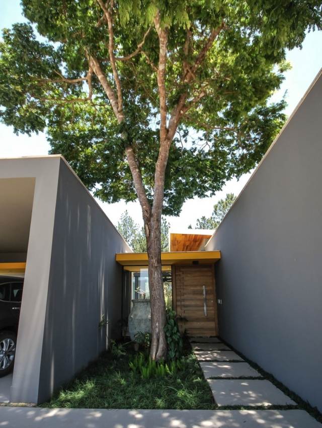 Wohnhaus-Bäume-Garten-Bauvolumina-Rechteckig-Außenfassade-grau