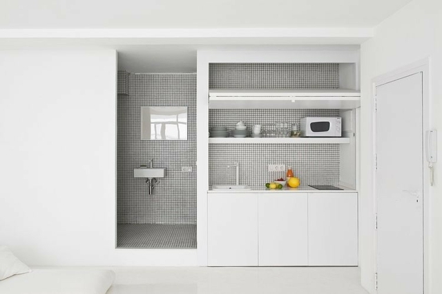 ein-Zimmer-Wohnung-mit-Küchenzeile-und-Badezmmer