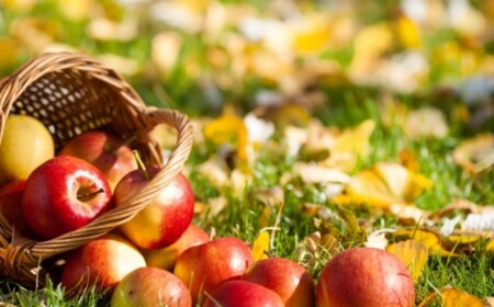 Garten im Oktober