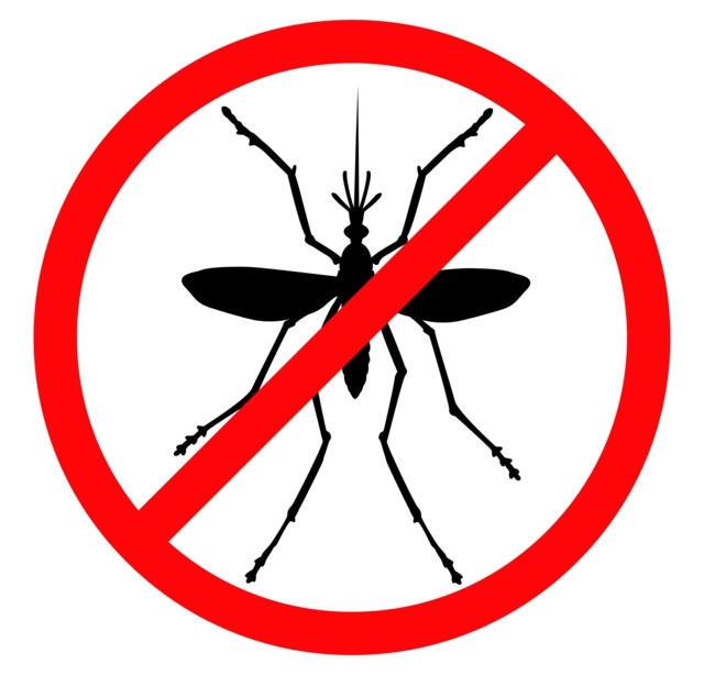 insekten verjagen zwiebel mücken haushalt mittel