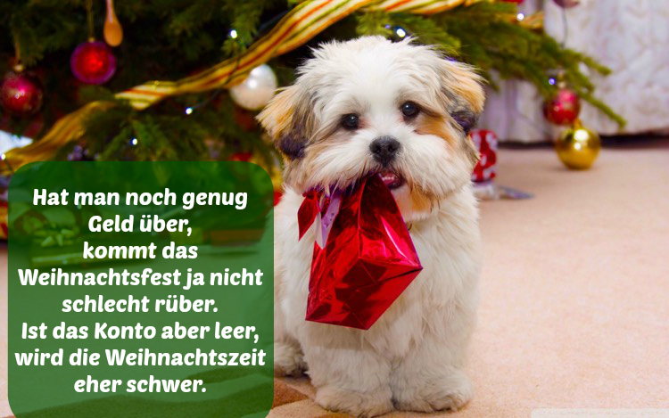 Liebe Weihnachtsgrüße Mit Hunden – bilder19