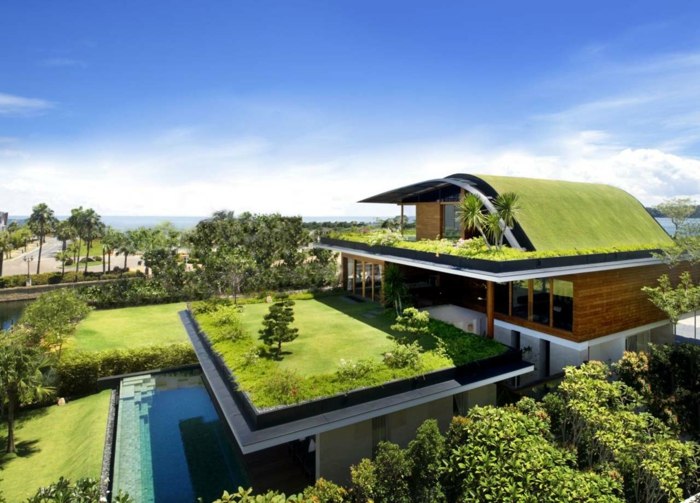 Dachterrasse-voll-mit-Grass-bedeckt