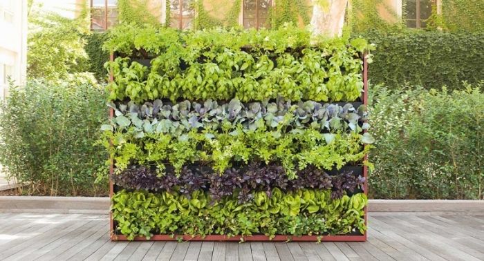 Vertikaler Garten -Trennwand-Dekoration-mit-lebendigen-Pflanzen-umweltfreundlich